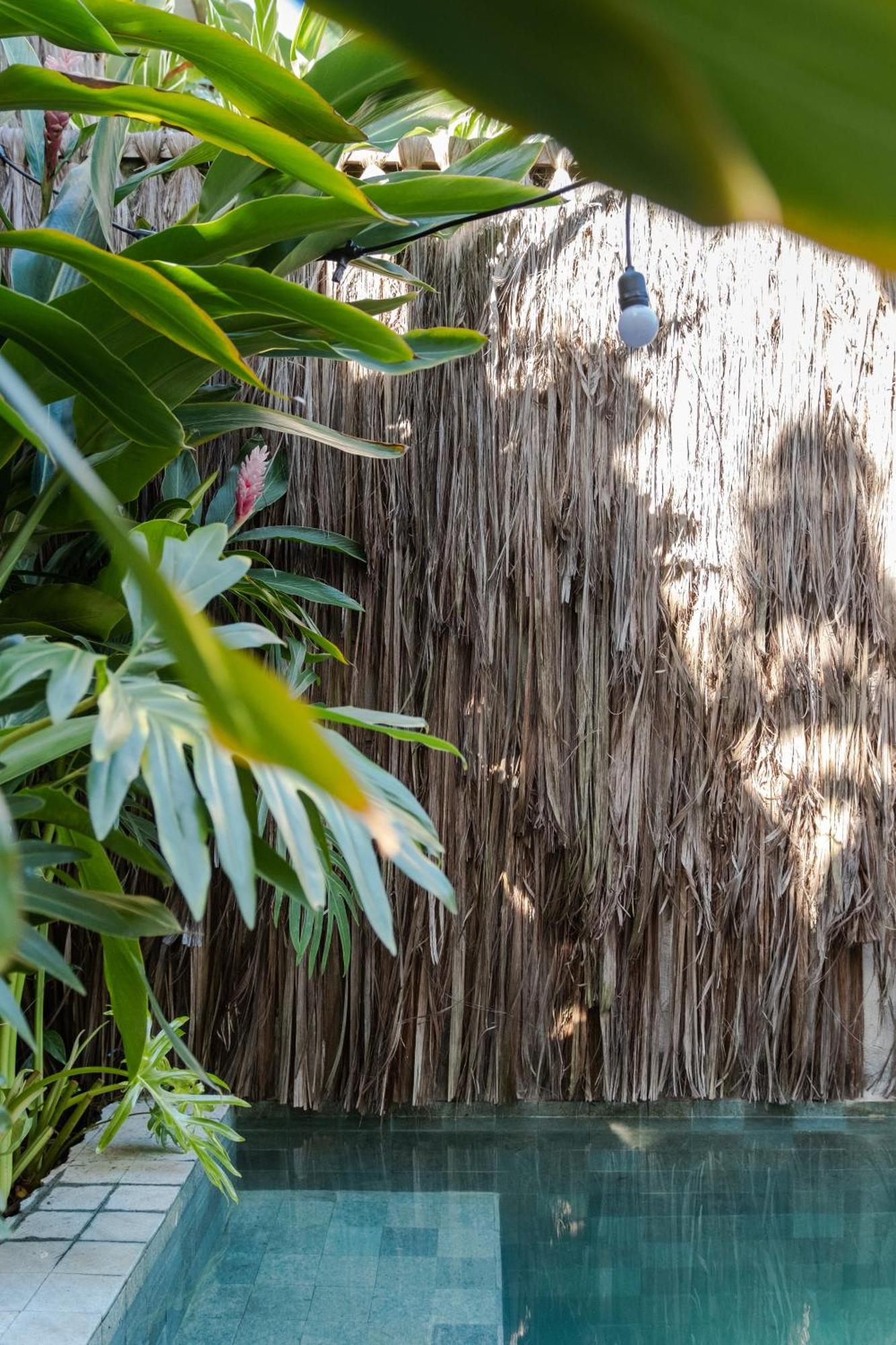 Pousada Casa das Conchas Caraíva Exterior foto